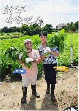 影视工场综艺棚内的走位地贴